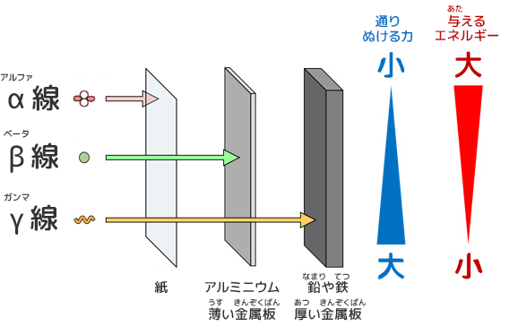 放射線が物を通りぬける力・当たった時に与えるエネルギー