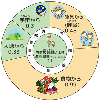 日本人が１年間に受ける放射線の量