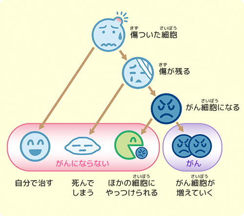 放射線が人体に与えるダメージ